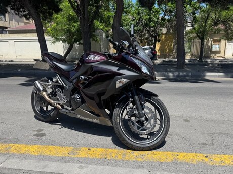 Kawasaki Ninja 300