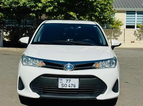 Toyota Corolla Fielder 2019