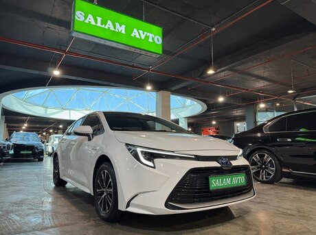 Toyota  2024