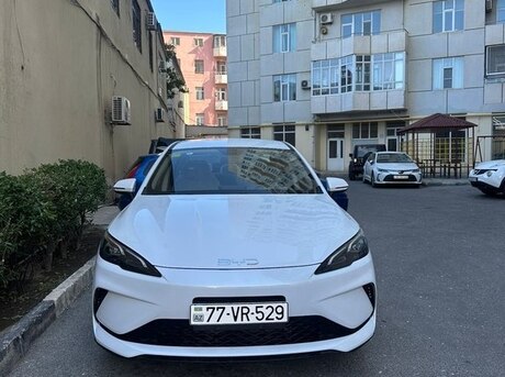 BYD  2025