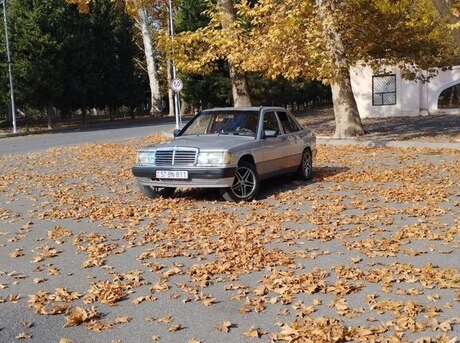 Mercedes 190 1991