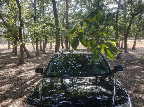 Volkswagen Touareg 2003