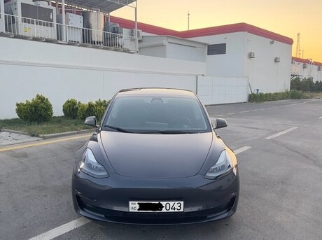 Tesla Model 3 2021