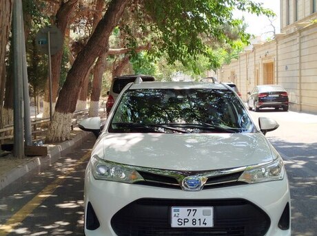 Toyota Corolla Fielder 2019