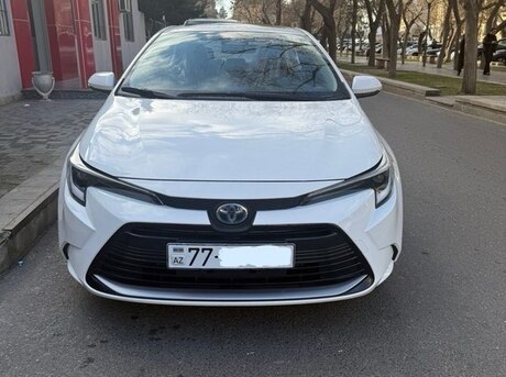 Toyota  2024