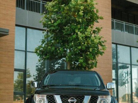 Nissan Navara 2013