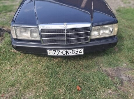 Mercedes 190 1991