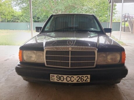 Mercedes 190 1991