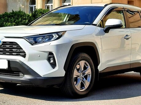 Toyota RAV4 2024