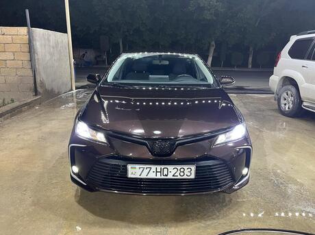 Toyota Corolla 2020