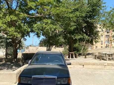 Mercedes 190 1991