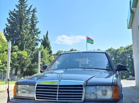 Mercedes 190 1991