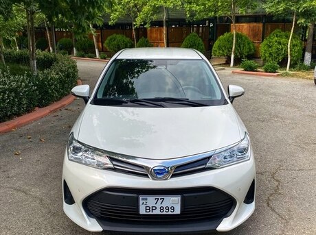 Toyota Corolla Fielder 2019