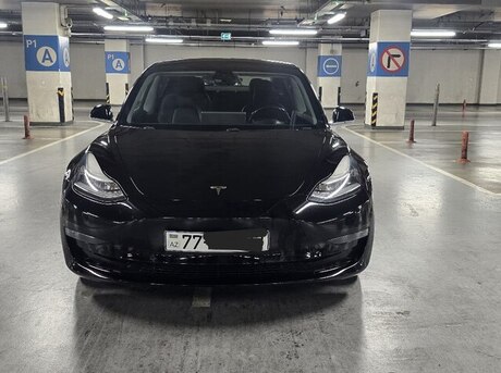 Tesla Model 3 2019