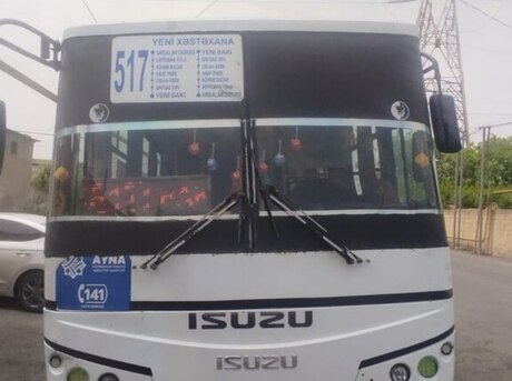 Isuzu Ecobus 2012
