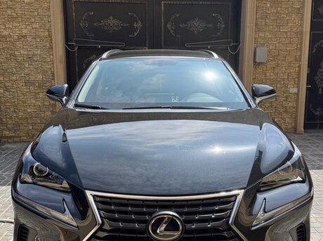 Lexus NX 300 2020