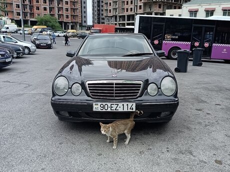 Mercedes E 240 2000