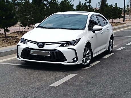 Toyota Corolla 2024