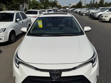Toyota  2024