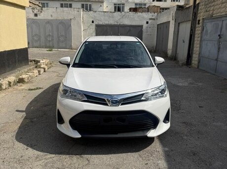 Toyota Corolla Fielder 2019