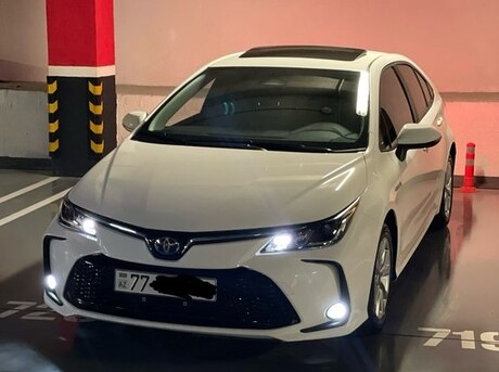 Toyota Corolla 2024
