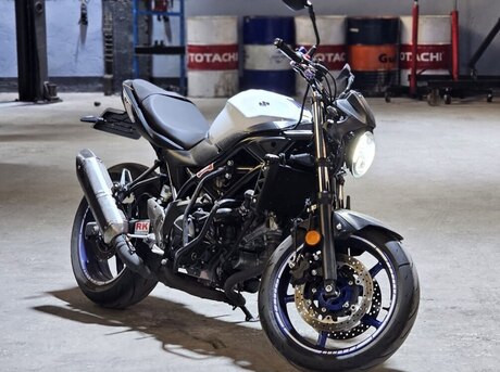 Suzuki  2016