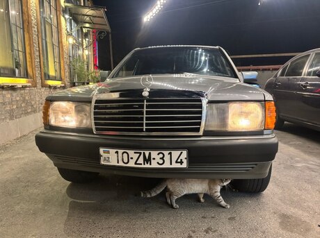 Mercedes 190 1990
