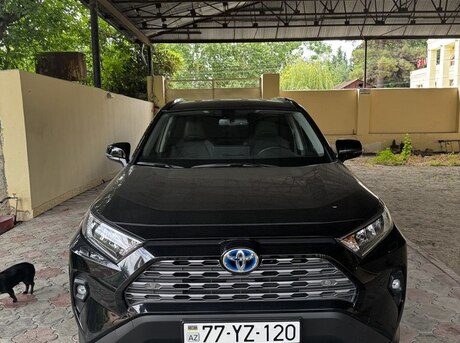 Toyota RAV4 2024