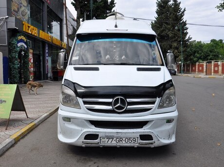 Mercedes Sprinter 312 2008