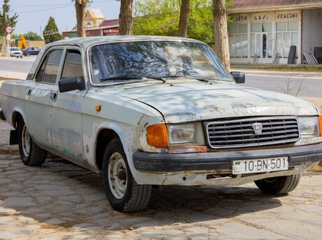 GAZ 31029 1994