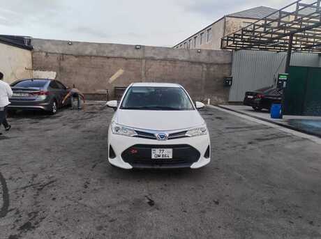 Toyota Corolla Fielder 2019