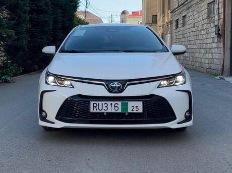Toyota Corolla 2024