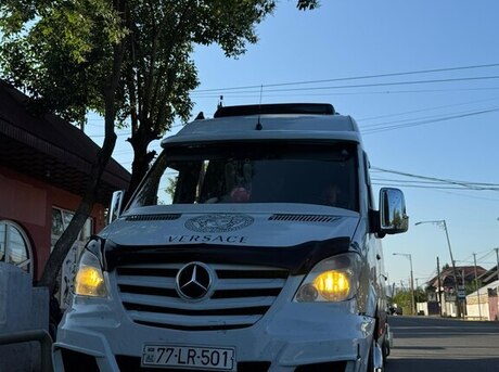 Mercedes Sprinter 313 2009