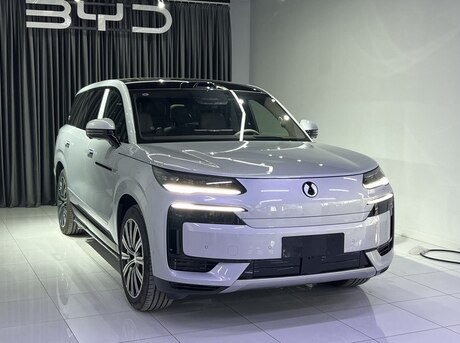 Denza N9