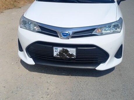 Toyota Corolla Fielder 2019