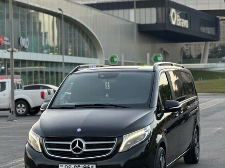 Mercedes Viano