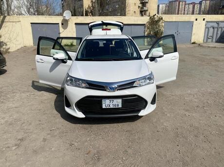 Toyota Corolla Fielder 2019