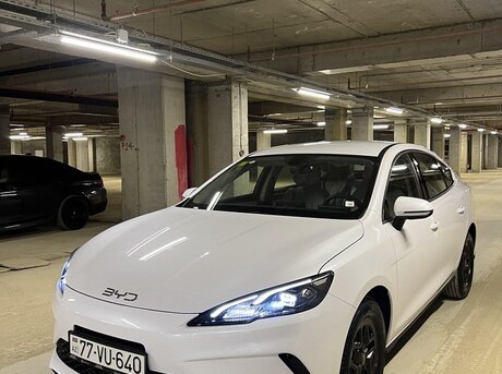 BYD  2025