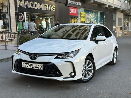 Toyota Corolla 2024