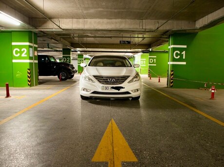 Hyundai Sonata 2010