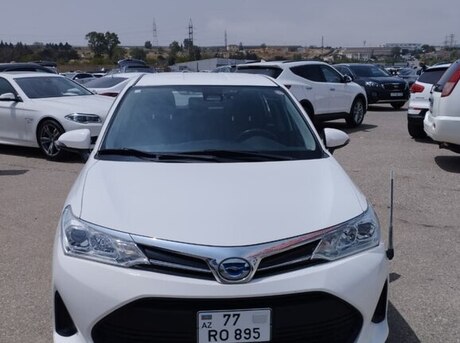 Toyota Corolla Fielder 2019