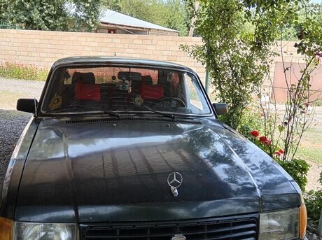 GAZ 31029 1994