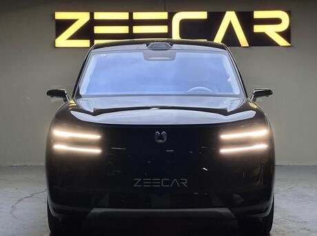 Denza N9