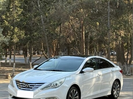 Hyundai Sonata 2010