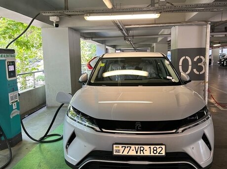 BYD  2025