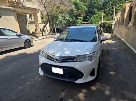 Toyota Corolla Fielder 2019