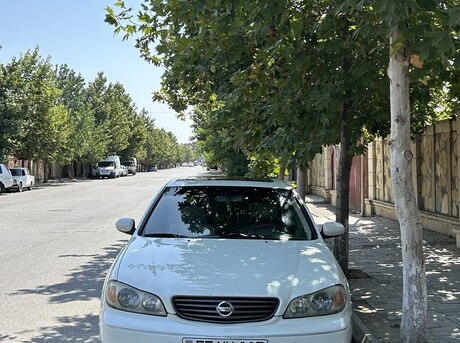 Nissan Maxima