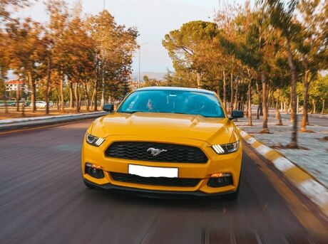 Ford Mustang 2015