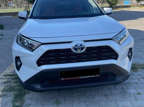Toyota RAV4 2024