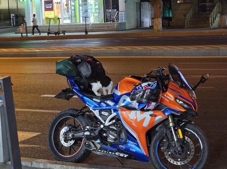CFMOTO 300 SR-S